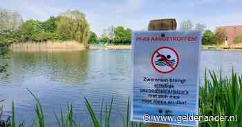 Weer pfas-gif in zwemplas in Gelderland; dit keer bij een camping