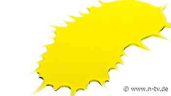 Pestizide im grünen Gold: Diese Olivenöle werden zurückgerufen