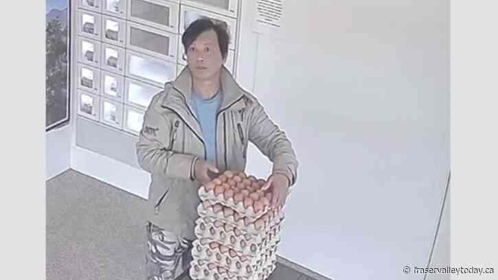 Chilliwack farm calls out egg thief