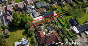 De beukenhaag is weg en nu is er plots ruzie tussen buren: ‘De grond is van mij’