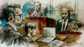 Man had PTSD when he killed, decapitated his mother: Psychiatrist