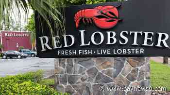 Red Lobster closes numerous Florida locations, 50+ nationwide