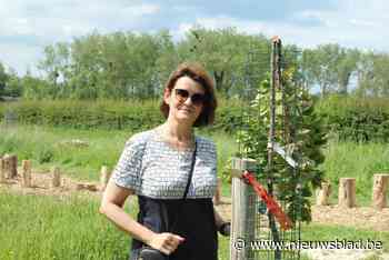 Vandalen knakken jonge boompjes in schoolbos van Nederwijsje