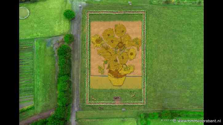 Schilderij van Van Gogh komt tot leven met vele tienduizenden bloemen