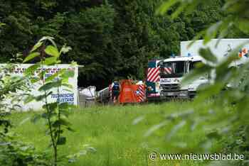 Cannabisplantage opgedoekt bij tuinaannemer in Waasmunster