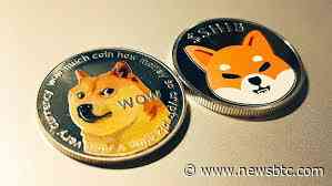 Shiba Inu Volume Flips Dogecoin, Will SHIB Price Flip DOGE If This Analyst’s Prediction Comes True?