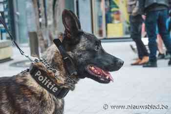 Politie zet speurhonden en drone in op zoek naar verdachten van inbraakpoging