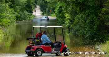 Recovery resources available for Texas livestock producers