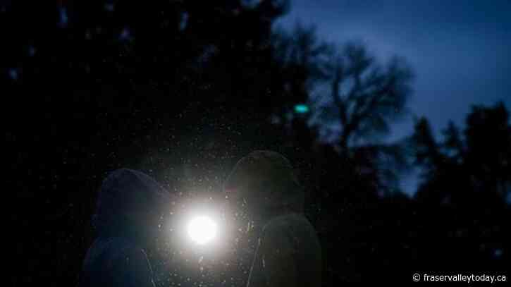 Spy agency CSIS reveals 24 harassment investigations in annual report