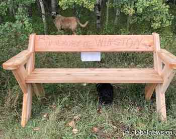 Oakridge residents say bench replacement ‘ripped up the spirit of Calgary’