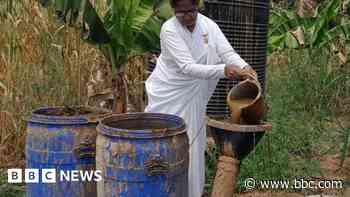 Cow dung's key role in India's energy industry