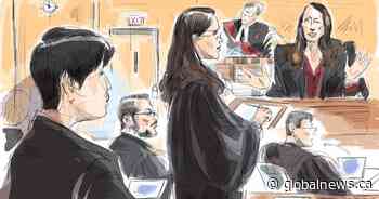 Toronto man likely developed PTSD after dismembering mother, Crown psychiatrist tells court