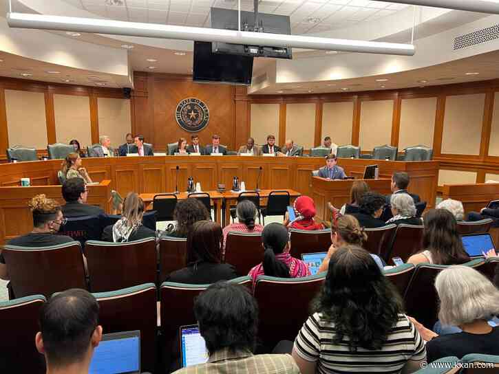 Student makes accusation against UT professor during Senate antisemitism hearing