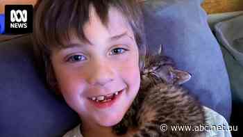 Boy's death at intersection prompts grief-stricken plea for pedestrian safety overhaul