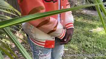 ‘I was shocked': Man recalls moments he was carjacked in Hallandale Beach