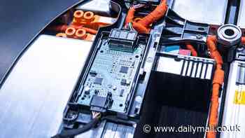 EV owners say their cars are making them SICK - as driver claims her Tesla caused her nose bleeds, 'debilitating' body pains and hair loss