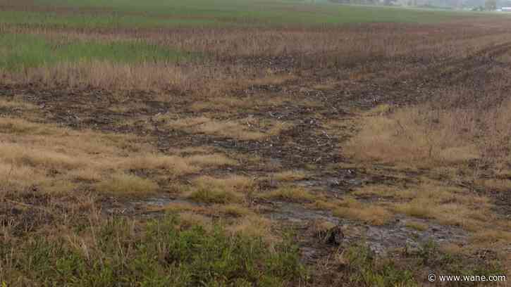 Soggy weather causing a delay in spring planting