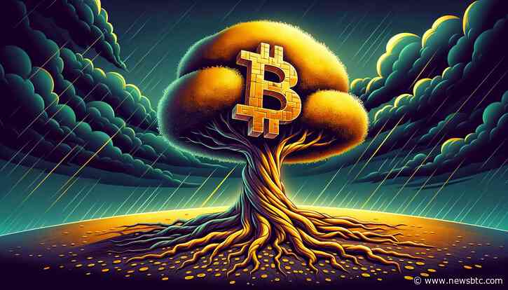 Bitcoin Price Holds Firm: Key Support Maintained Amid Market Uncertainty