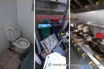 Mice infestation found at Watford's Mr Sushi takeaway