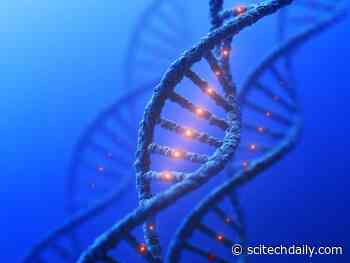 Gene Linked to Learning Difficulties Has Direct Impact on Learning and Memory