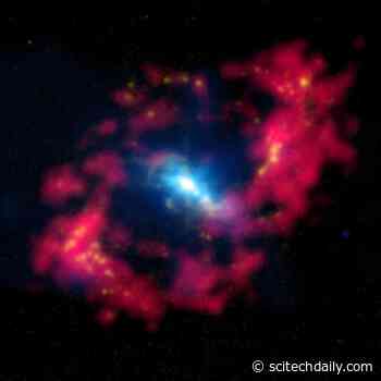 XRISM Spacecraft Detects Iron Signatures in Nearby Active Galaxy