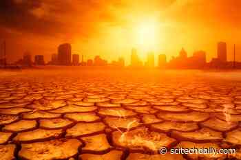 Heatwaves Responsible for 150,000+ Deaths Annually