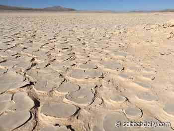 Astonishing Discovery – Researchers Discover Life 13 Feet Below Earth’s Most Inhospitable Desert