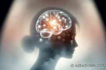 New Study Unveils Serotonin’s Key Role in Fertility and Depression