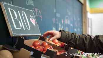 Nach Rückgang im Herbst: Nachhaltiger Konsum zieht wieder an