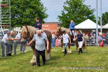 Veekijkdag verleidt jong en oud met erfdieren
