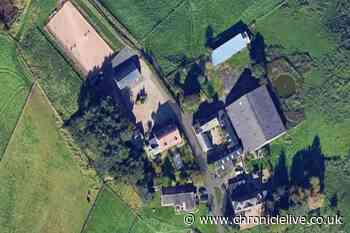 County Durham horse arena can stay open despite light pollution and noise concerns