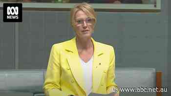 'All I've heard is outrage': Independent MP calls out level of domestic violence funding in budget — as it happened