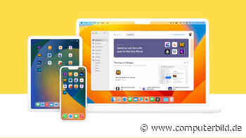 MacPaw startet eigenen App-Store für iOS