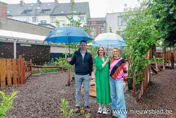 Scholen openen de poort naar hun natuurspeelplaats om andere scholen te inspireren: “Onze speelplaats brengt zowel de leerkrachten als leerlingen rust”