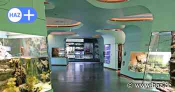 Im Zoo Hannover: Amphibium im ehemaligen Mullewapp ist eröffnet