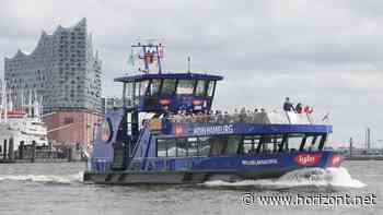 Fischstäbchen an der Elbe: Käpt’n Iglo heuert jetzt auf einer Fähre im Hamburger Hafen an