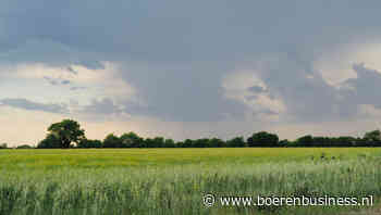 Aandacht tarwemarkt gaat van Rusland naar de VS