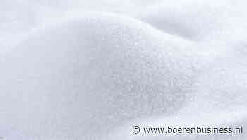 Suikernotering gezakt tot laagste punt in maanden