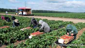 Ontario to change how it compensates injured migrant workers