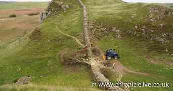 Sycamore Gap tree valued at more than £620,000, charges show