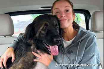 Vicky Pattison rescues dog from busy road on way to host Newcastle radio show