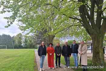 Werken schoolomgeving Vorst-Meerlaar gaan van start: nieuwe parking met openbare verlichting