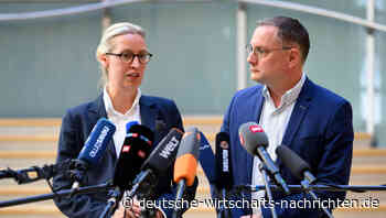 Der Verfassungsschutz darf AfD überwachen: Kommt als nächstes ein Verbot der Partei?