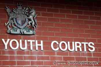 Teen who committed outraging public decency during incident with horse in Northumberland field sentenced