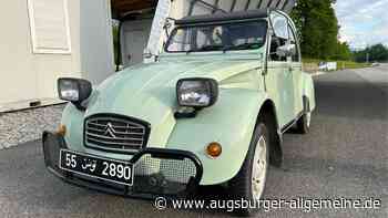 Mit Ente von Tunesien nach Berlin: Zoll kassiert Strafe von Vater-Sohn-Duo