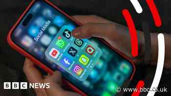 Ros Atkins on... How different countries protect children online