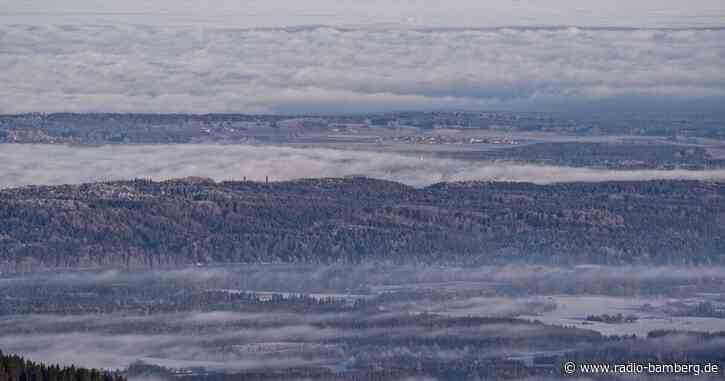 Länder wollen zusätzliche Regeln für Waldbesitzer abmildern