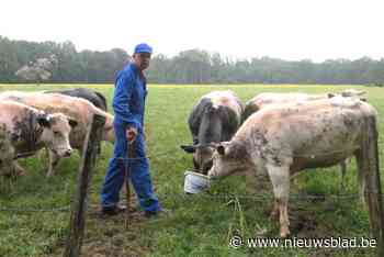Boer Lieven zag hoe neospora-parasiet voor abortusgolf zorgde in zijn veestapel: “Oorzaak zijn hondendrollen, maar weinig baasjes hebben daar weet van”