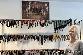 Glamour Dogs opent in pand Tio Pépé: “Windhonden hebben echt jasje nodig”