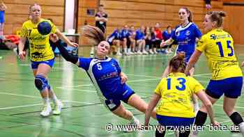 Saisonbilanz: Viele Hochs, wenige Tiefs beim VfL Nagold